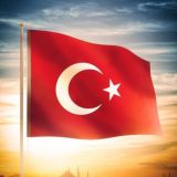 Rashid CARGO 2020 карго доставка товаров из Китая