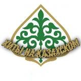 NURZHAN • CONTENT CREATOR