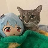 Аватарки | Картинки | Пикчи