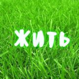 dobro_vika