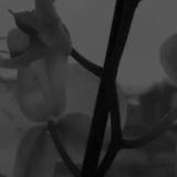 𓄹 . ִ ֗ 𝘚𝘦𝘢𝘳𝘤𝘩 𝘦𝘯𝘨𝘪𝘯𝘦 𝘧𝘰𝘳 𝘺𝘰𝘶ᥫ᭡ ꗃ ⋆ ࣪ .