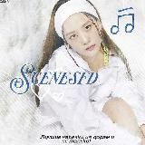 𝘴𝘤𝘦𝘯𝘦𝘴𝘧𝘥 закрыто