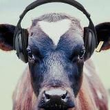 Животноводство, птицеводство и сельское хозяйство