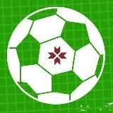 Футбол Мордовии