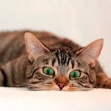 𝓨д𝓪лё𝓗𝓴𝓪