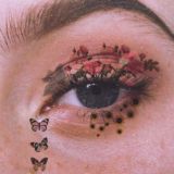 ʟᴀʙʀᴀᴅᴏʀ ᴅʀᴇᴀᴍs🦋