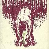 Փյունիկ / Феникс