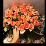 Сторис для бывших 🤪️