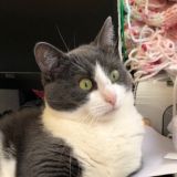 Маруся в шоке