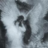 blizard | Песни из Тик Тока