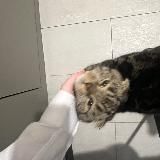 фанаты азры