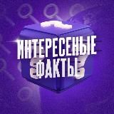 Клан «Победа» MemeFi