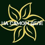 На самом деле