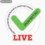 ЖЕЛЕЗНАЯ СТАВКА chat