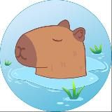 Бар Капибар