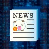 CRYPTOPORO NEWS