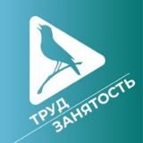 Труд и занятость в Курской области