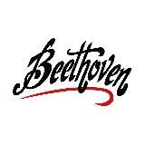 Beet - CHOCOLATE / CHILIA