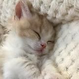 🍓летний вечер