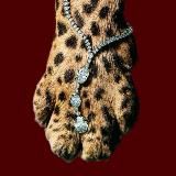 Достижимый идеал