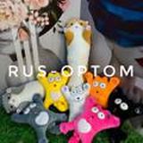 RUS-OPTOM