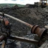 Goldfound in shit Chat