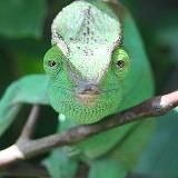 ❤️⬛️⬜️🟥 Gabriele Curschmann-Käsinger