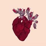 𝐒𝐄𝐑𝐃𝐂𝐄🫀