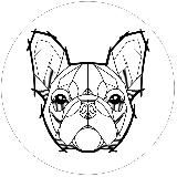 DogTails