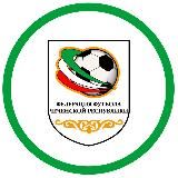 Федерация футбола Чеченской Республики