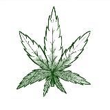 DOBRAKI [Рассыльщик в ТГ]