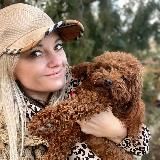 Той Пудель Юлия,мальтипу,кавапу ,помапу