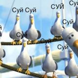 ООО "Коалиция Долбаёбов"