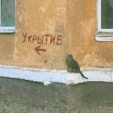 Делай то, что ближе 🐈⬛