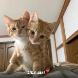 твой luvcrush 💌