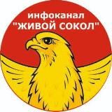 ЖИВОЙ СОКОЛ (инфоканал)