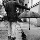 Помощь хвостикам darya34_34🐾