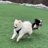 ЧаТиК СаМоЕдА НеДоРоСтКа