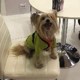 Ветеринарная клиника «МИР ЖИВОТНЫХ» Мариуполь.