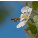 Полезные советы