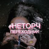 #НЕТОРЧ ПЕРЕХОДНИК