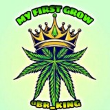 🦎 MY FIRST GROW CHANEL 4:20🦎