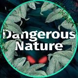 Dangerous Nature