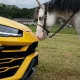 NLIVE - ВОЙНА 24/7