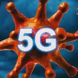 В мире животных