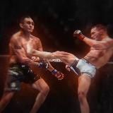 Фронт-кик | Новости ММА