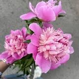 Self-fulfillment🌿