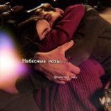 Ꮋᴇбᴇᴄныᴇ ᴩᴏɜы🥀