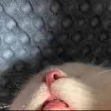 органично и в духе заговора искусства