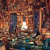 Книжный переулок 📚